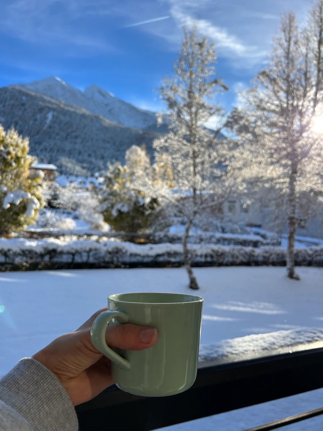 Kaffee auf dem Balkon – Birkenwald