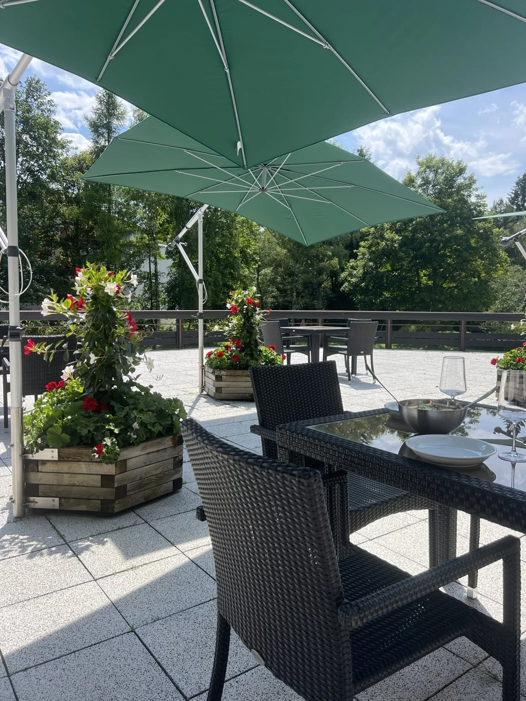 Sonnen­terrasse im Appartementhaus Birkenwald
