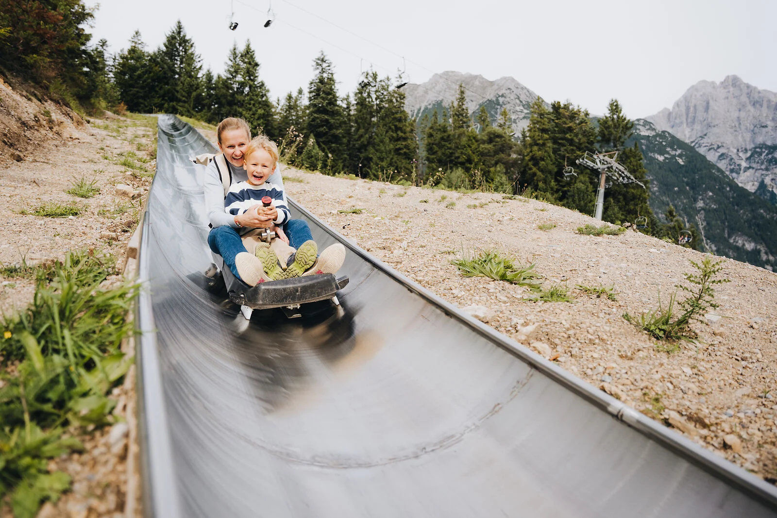 Sommerrodelbahn Wildcat