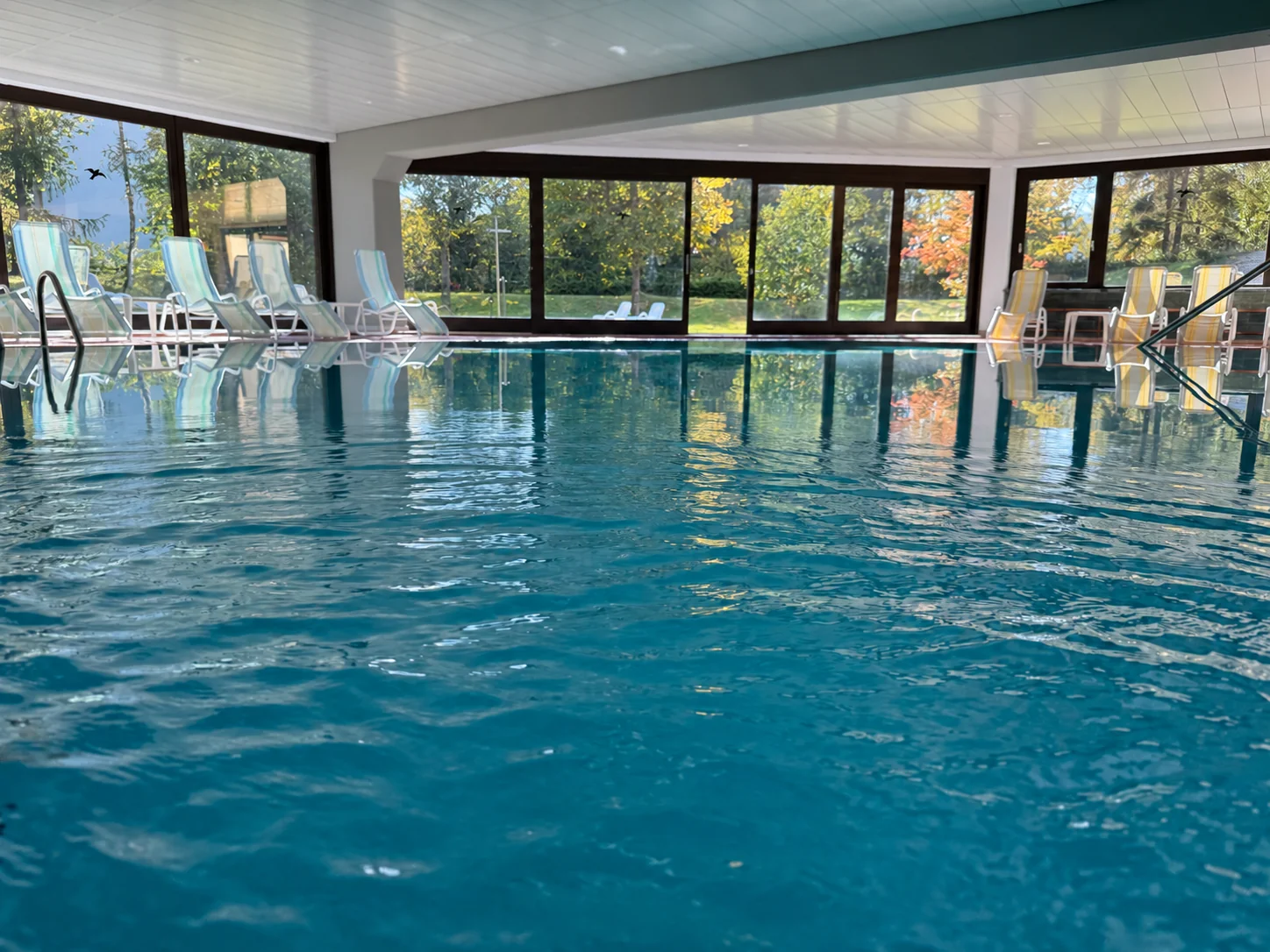 Schwimmbad mit sanften Wellen und Blick in den Garten